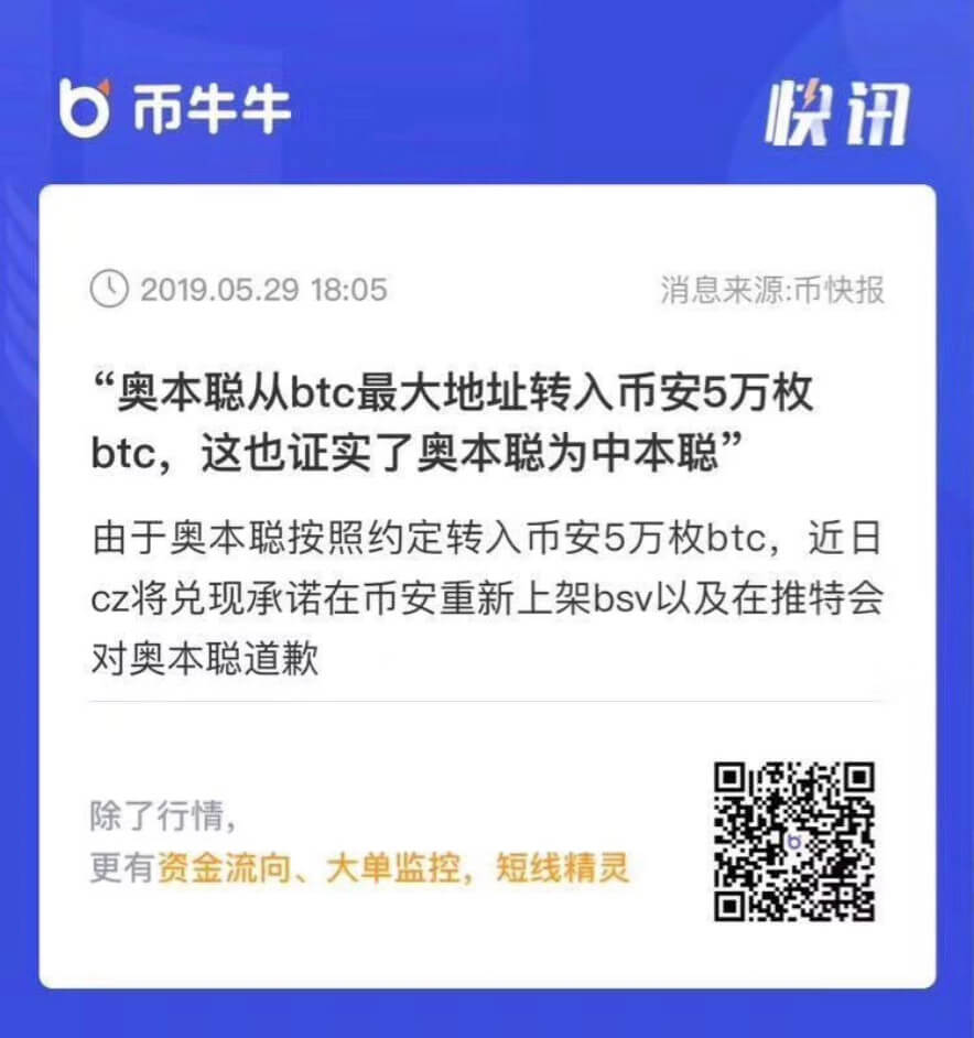  bitcoin fake satoshi chinese wright craig pumps 