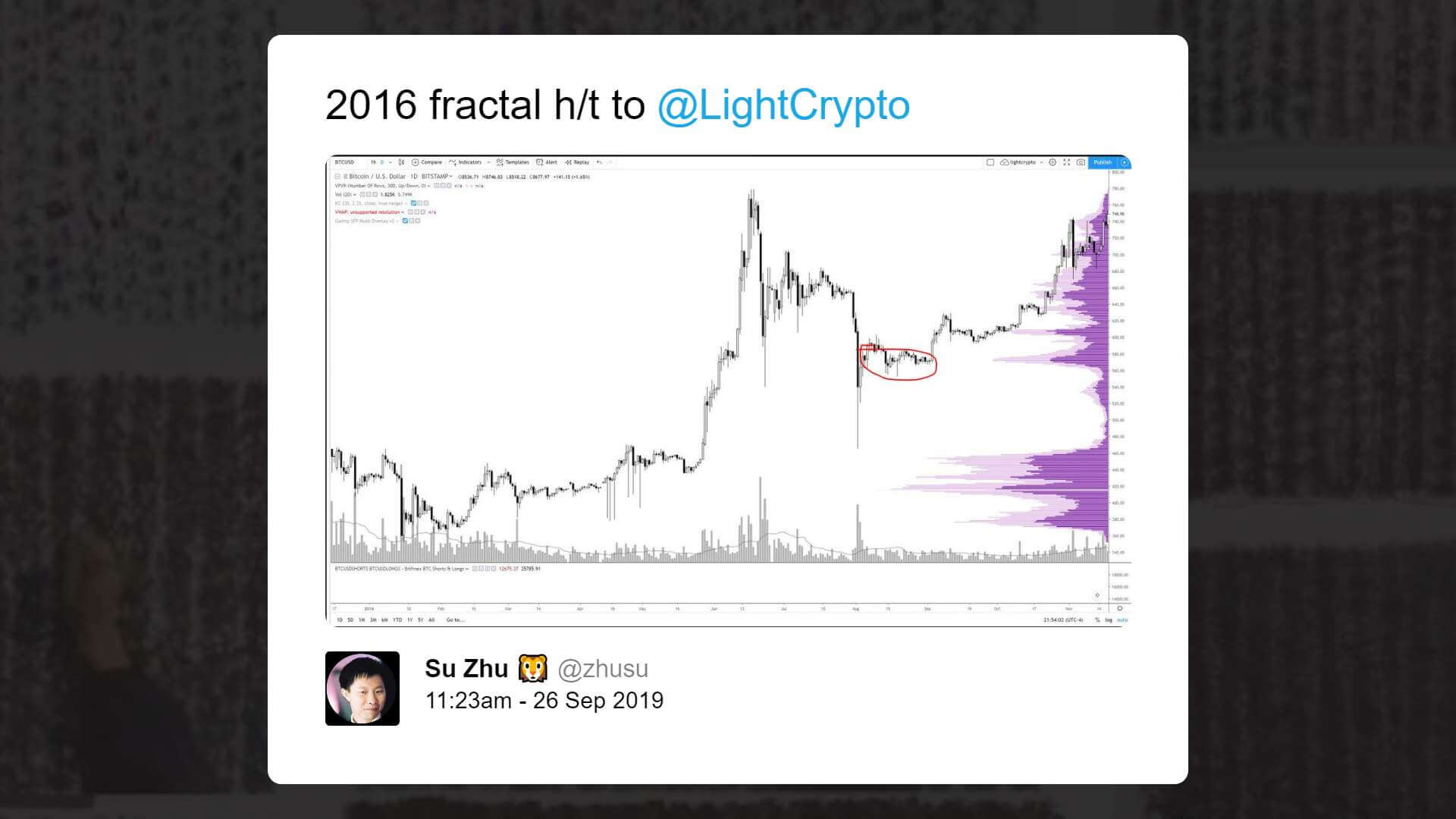  bitcoin trader fight bears won short term 