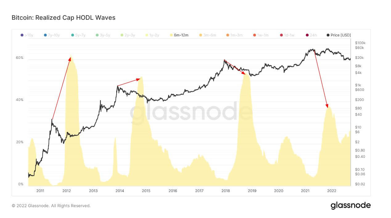 Research: Bitcoin HODL waves show that this cycle is completely the same as all others