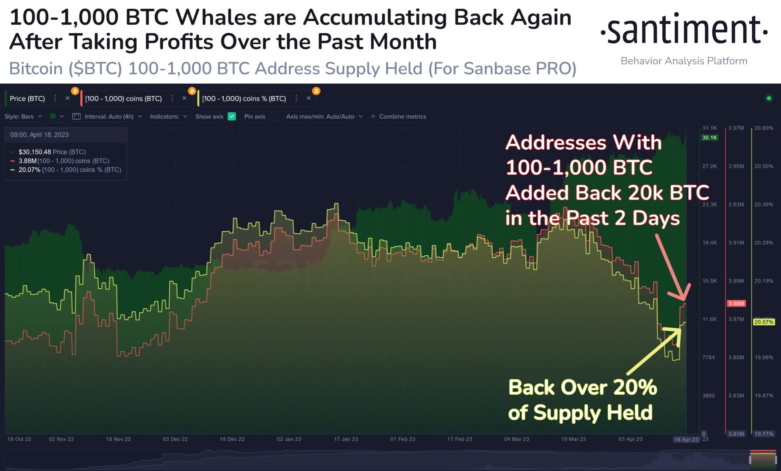 Bitcoin whales accumulate over 20k BTC in just two days