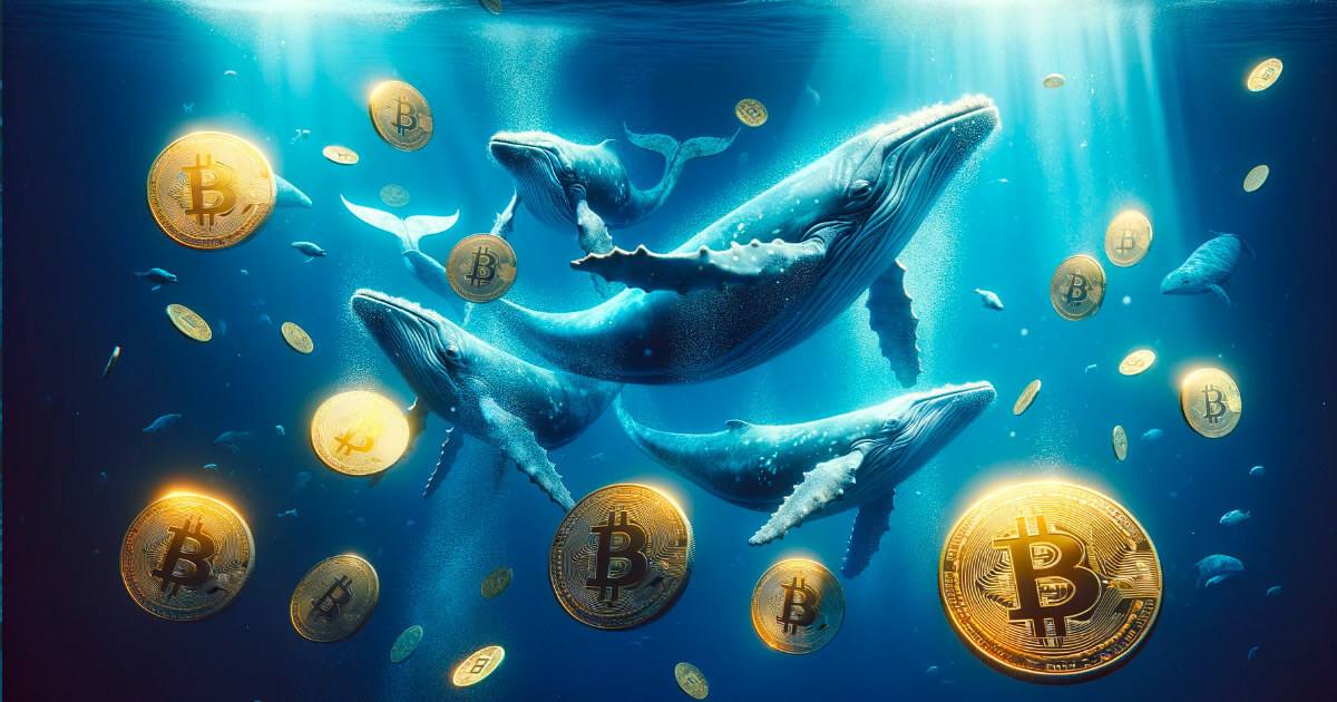 Bitcoins big fish: How Bitfinex whales are quietly shaping market trends