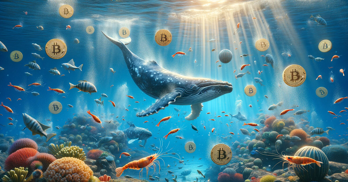  market supply bitcoin whales shrimps heavily correlated 