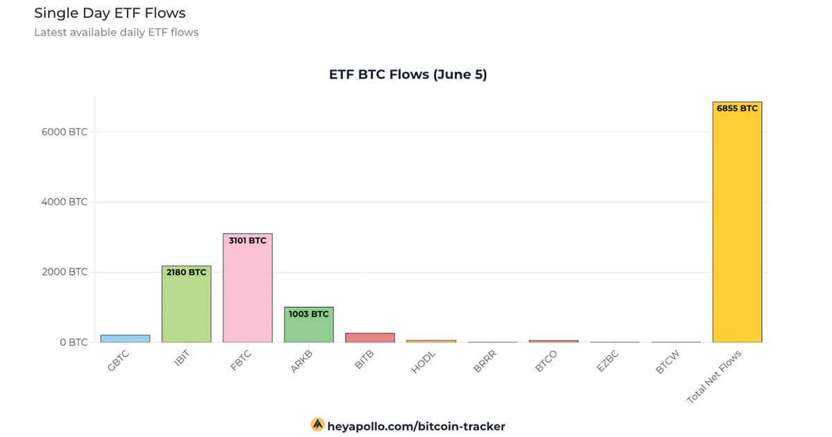  tying inflows bitcoin streak record etfs days 