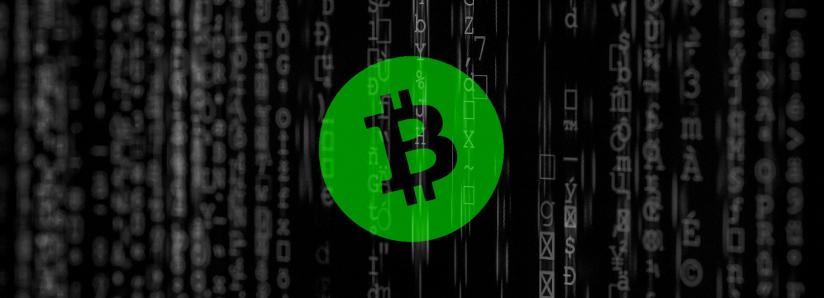 Bitcoin Cash Reportedly Suffered A 51 Attack Transactions Reversed - 