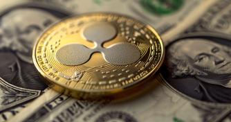 SEC: Ripple’s express to conceal monetary data in treatments briefing ‘unlawful’
