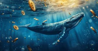 Bitfinex whales boost long positions by 2,500 BTC