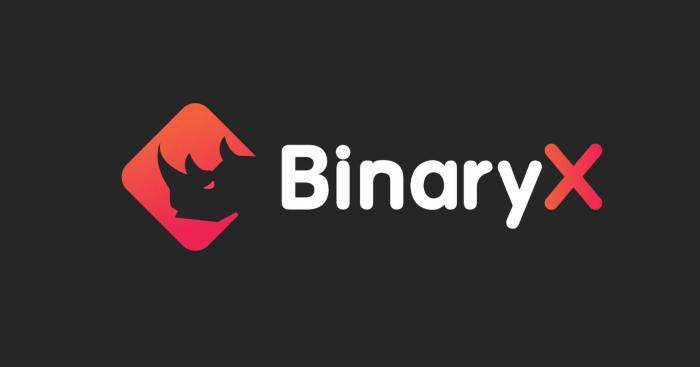 BinaryX Announces RhinoX NFT Collection, Sets Sale on June 6