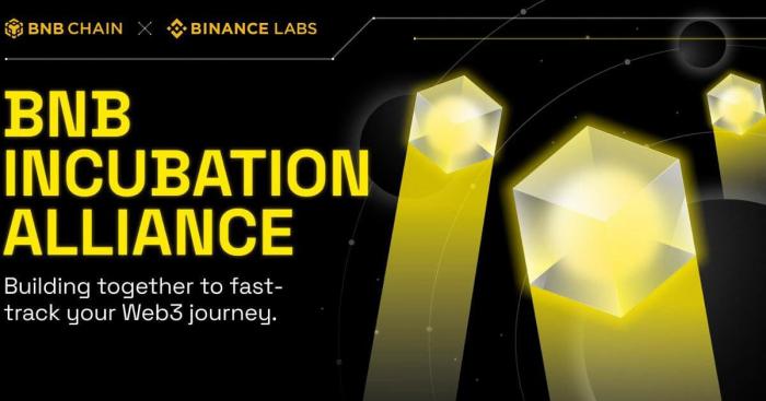 BNB Chain and Binance Labs Collaborate With Top VCs To Launch BNB Incubation Alliance (BIA)