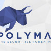 polymath token price
