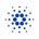 Image 95: Cardano Wallets icon