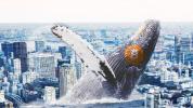 Tokyo Whale Prepares 8,000 BTC Dump as Crypto Bloodbath Continues