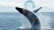 Dread Pirate Roberts Whale Wallet Activity Hints Toward $800 Million Bitcoin Market Dump