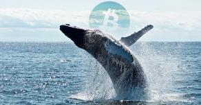 Two $10 Million Bitcoin shorts opened at $10k: are whales anticipating a severe correction?