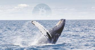 Research: Bitcoin (BTC) Whales Not Moving the Cryptocurrency Market