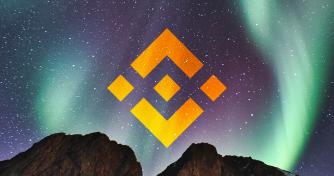 Binance Research: most large Bitcoin and Ethereum investors hold stablecoins, use cold wallets