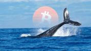 Massive Bitcoin whale moves more than $1.3 billion worth of BTC