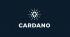 eToro Releases Cardano (ADA) Market Research Report