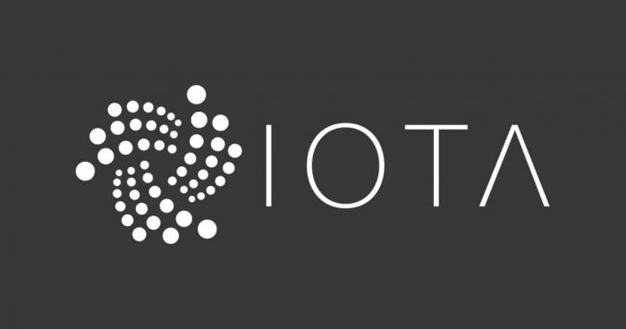Leaked Transcript Uncovers Fallout Between IOTA Leaders