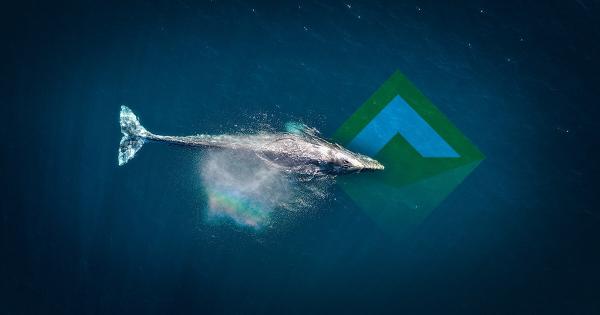 MakerDAO whale with 94% voting power reduces Dai stability fee by 4%
