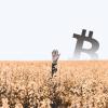 ‘Lost and HODLed’ Bitcoin (BTC) hits 34% of supply, what does this mean?