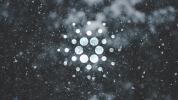 Cardano (ADA) price drops to yearly low; here are the two main factors behind the decline