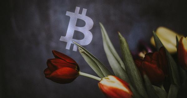 Craig Wright says there is a third Tulip Trust; what does this mean for Bitcoin?