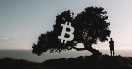 Bitcoin continues retracing; is the bull market over?