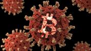 Coronavirus concerns did not cause the Bitcoin price to spike 15%, but here’s what actually did
