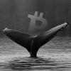 A big Bitfinex Bitcoin whale is anticipating a severe correction, will he be right?