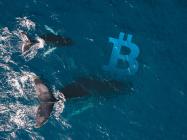 Bitcoin whale growth is macro bullish, but will it be enough to stop another massive selloff?