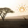 Cardano (ADA) is looking to challenge subscription industry, launches African initiative