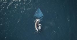 Coinbase’s earliest investor starts accumulating Ethereum “again,” joining whales