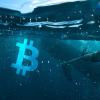 Bitcoin whale accumulation trend on Bitfinex shows $14k or lower isn’t likely