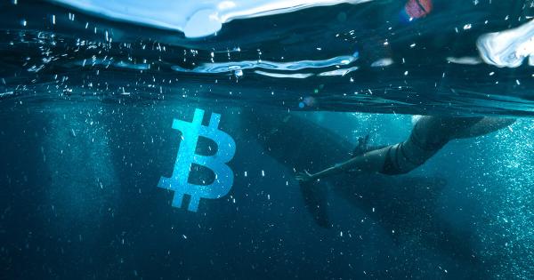 New Glassnode metric calculates profit/loss for “moved” Bitcoin, “Whales” seen stacking up on BTC