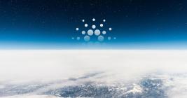 Cardano (ADA) search and social engagement reach yearly highs
