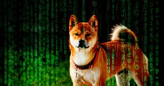 Dogecoin (DOGE) is now being used by crypto hackers after TikTok boom