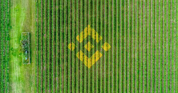 Binance Chain is getting its own DeFi yield farms after Ethereum