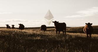 DeFi users deposit $100 million in stablecoins into Ethereum’s latest yield farm