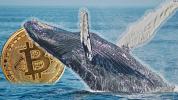 Data shows Bitcoin sells are being scooped up by BTC whales