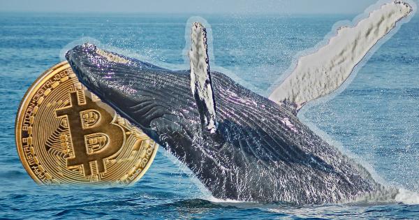 Data shows Bitcoin sells are being scooped up by BTC whales
