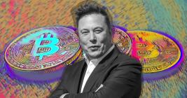 Elon Musk says only a “fool” wouldn’t look into Bitcoin