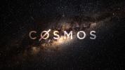 Cosmos (ATOM) surges 30% in past week on ‘Stargate’ launch