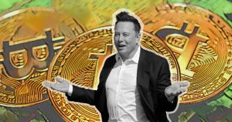 SkyBridge Capital CEO says Elon Musk owns over $5 billion in Bitcoin through Tesla and SpaceX