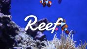 Suspicions raised as Alameda Research denies affiliation with Reef Finance