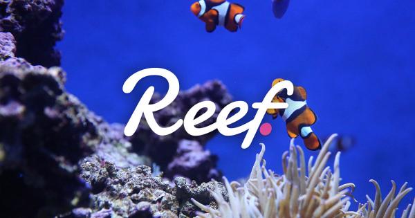 reef news coin dividendų pašalinimo strategijos variantai