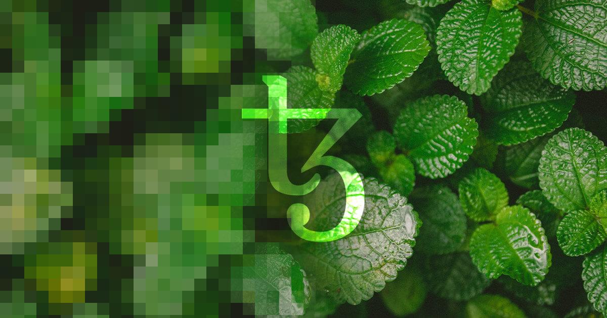 Doja Cat’s first ‘green’ NFTs are going live on Tezos (XTZ) today