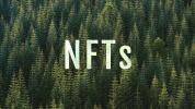 Crypto project selling NFTs wants to plant 1 million trees with 10% of sales proceeds