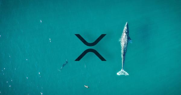 Data shows “whales” are buying XRP as public sentiment increases