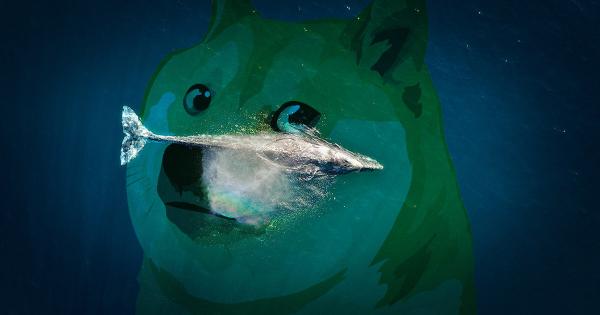 Whale holding $15 billion in Dogecoin bought 420.69 DOGE yesterday