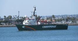 Greenpeace USA stops accepting Bitcoin donations due to environmental concerns